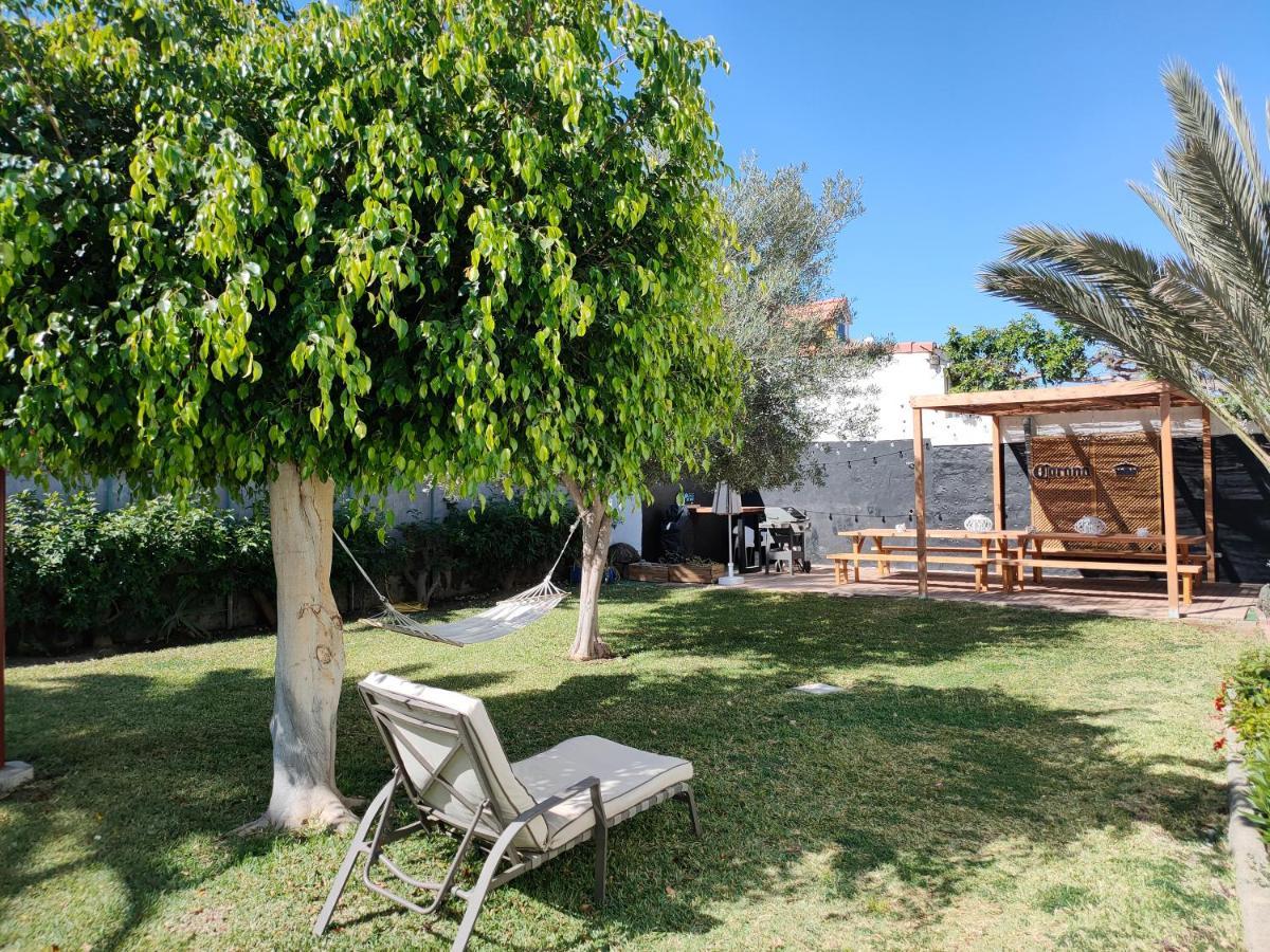 Bungalows El Palmital - Adults Only 普拉亚戴尔雷安格莱斯 外观 照片